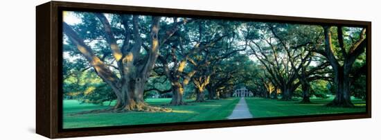 Louisiana, New Orleans, Oak Alley Plantation, Home Through Alley of Oak Trees, Sunset-null-Framed Premier Image Canvas