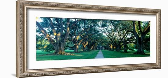 Louisiana, New Orleans, Oak Alley Plantation, Home Through Alley of Oak Trees, Sunset-null-Framed Photographic Print