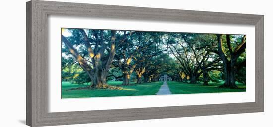 Louisiana, New Orleans, Oak Alley Plantation, Home Through Alley of Oak Trees, Sunset-null-Framed Photographic Print