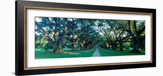 Louisiana, New Orleans, Oak Alley Plantation, Home Through Alley of Oak Trees, Sunset-null-Framed Photographic Print