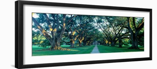 Louisiana, New Orleans, Oak Alley Plantation, Home Through Alley of Oak Trees, Sunset-null-Framed Photographic Print