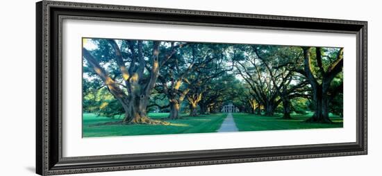 Louisiana, New Orleans, Oak Alley Plantation, Home Through Alley of Oak Trees, Sunset-null-Framed Photographic Print