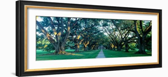 Louisiana, New Orleans, Oak Alley Plantation, Home Through Alley of Oak Trees, Sunset--Framed Photographic Print