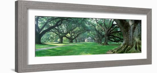 Louisiana, New Orleans, Oak Alley Plantation, Plantation Home Through Alley of Oak Trees-null-Framed Photographic Print