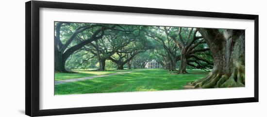 Louisiana, New Orleans, Oak Alley Plantation, Plantation Home Through Alley of Oak Trees-null-Framed Photographic Print