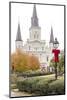 Louisiana, New Orleans. St Louis Cathedral with Holiday Decor-Trish Drury-Mounted Photographic Print