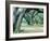 Louisiana Oaks, Louisiana ‘97-Monte Nagler-Framed Photographic Print