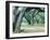 Louisiana Oaks, Louisiana ‘97-Monte Nagler-Framed Photographic Print