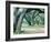 Louisiana Oaks, Louisiana ‘97-Monte Nagler-Framed Photographic Print