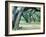 Louisiana Oaks, Louisiana ‘97-Monte Nagler-Framed Photographic Print