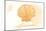 Louisiana - Scallop Shell - Yellow - Coastal Icon-Lantern Press-Mounted Art Print