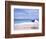 Lounge Chairs and Umbrella on the Beach-Bill Bachmann-Framed Photographic Print