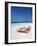 Lounge Chairs on Beach and Yacht, Maldives, Indian Ocean, Asia-Sakis Papadopoulos-Framed Photographic Print