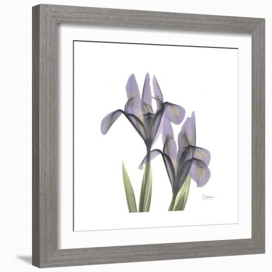 Lounging Lavender 1-Albert Koetsier-Framed Premium Giclee Print