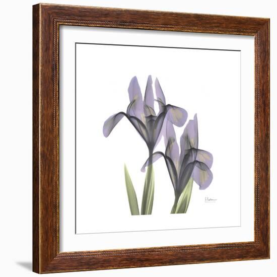 Lounging Lavender 1-Albert Koetsier-Framed Premium Giclee Print