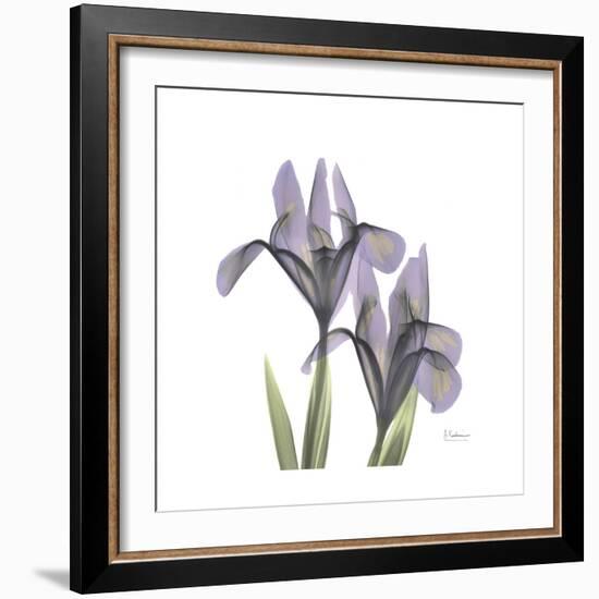 Lounging Lavender 1-Albert Koetsier-Framed Premium Giclee Print