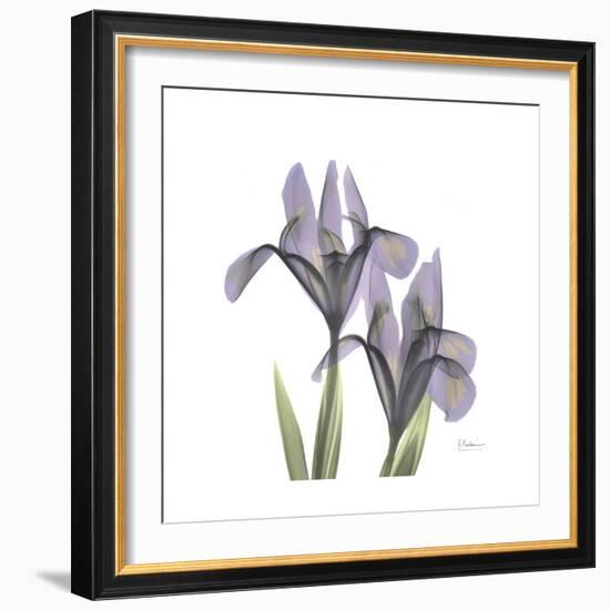 Lounging Lavender 1-Albert Koetsier-Framed Premium Giclee Print