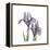 Lounging Lavender 1-Albert Koetsier-Framed Stretched Canvas