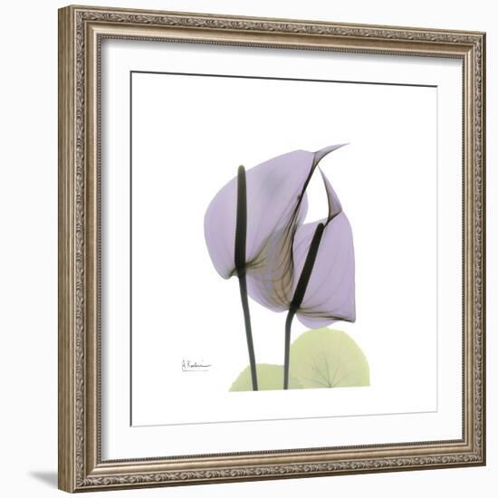 Lounging Lavender-Albert Koetsier-Framed Premium Giclee Print