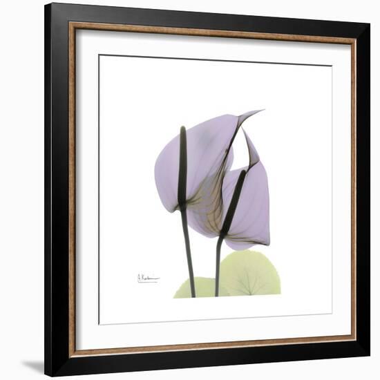 Lounging Lavender-Albert Koetsier-Framed Premium Giclee Print