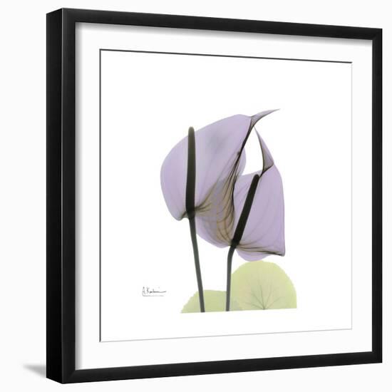 Lounging Lavender-Albert Koetsier-Framed Premium Giclee Print