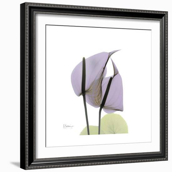 Lounging Lavender-Albert Koetsier-Framed Premium Giclee Print