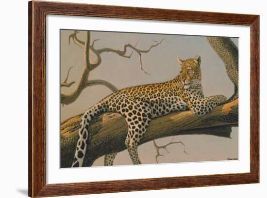 Lounging Leopard-Clive Kay-Framed Art Print