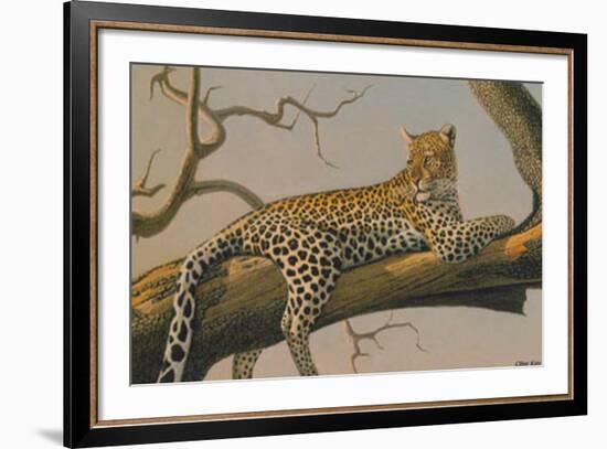 Lounging Leopard-Clive Kay-Framed Art Print