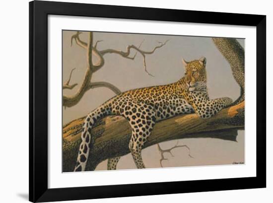 Lounging Leopard-Clive Kay-Framed Art Print