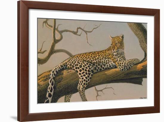 Lounging Leopard-Clive Kay-Framed Art Print