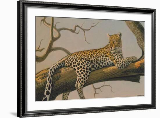 Lounging Leopard-Clive Kay-Framed Art Print