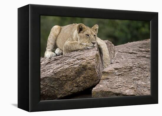 Lounging-Susann Parker-Framed Premier Image Canvas