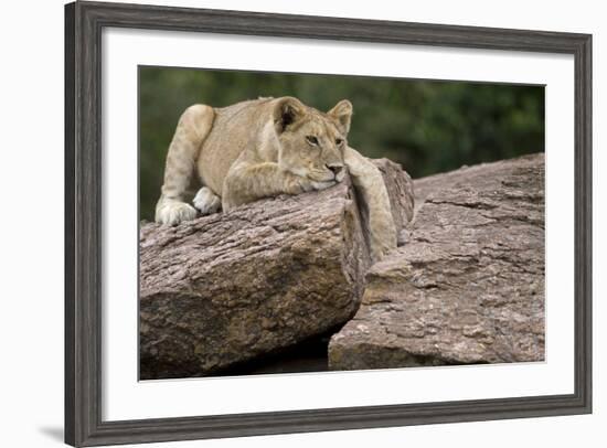 Lounging-Susann Parker-Framed Photographic Print