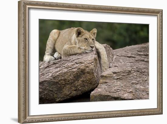 Lounging-Susann Parker-Framed Photographic Print