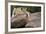 Lounging-Susann Parker-Framed Photographic Print