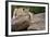 Lounging-Susann Parker-Framed Photographic Print