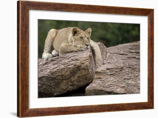 Lounging-Susann Parker-Framed Photographic Print