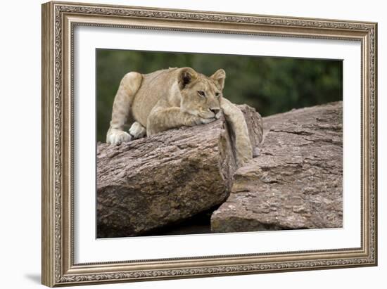 Lounging-Susann Parker-Framed Photographic Print