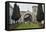 Lourdes Grotto, St Marys Chapel, Belfast, Northern Ireland, 2010-Peter Thompson-Framed Premier Image Canvas