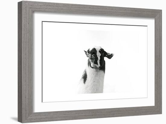 Lovable Llama I-Laura Marshall-Framed Art Print