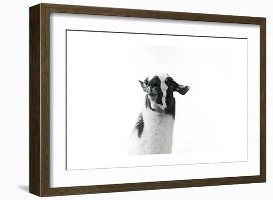 Lovable Llama I-Laura Marshall-Framed Art Print