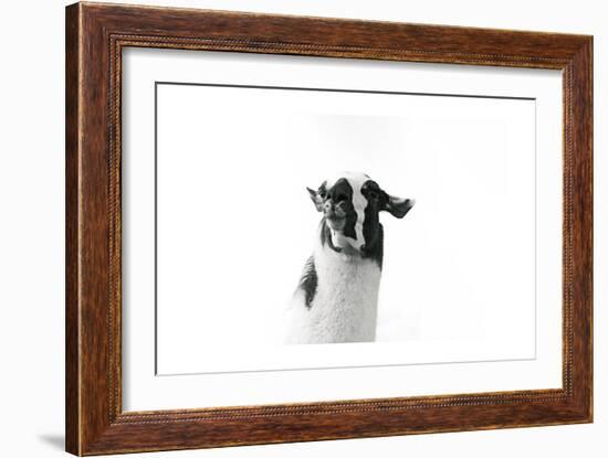 Lovable Llama I-Laura Marshall-Framed Art Print