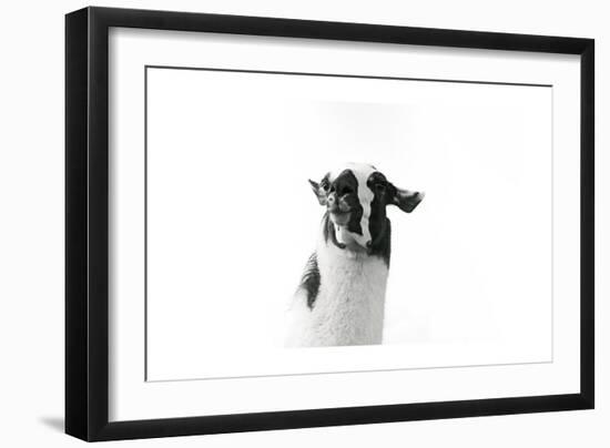 Lovable Llama I-Laura Marshall-Framed Art Print