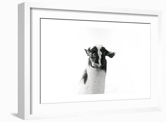 Lovable Llama I-Laura Marshall-Framed Art Print