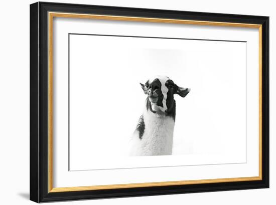 Lovable Llama I-Laura Marshall-Framed Art Print