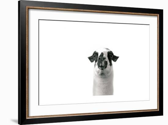 Lovable Llama II-Laura Marshall-Framed Art Print