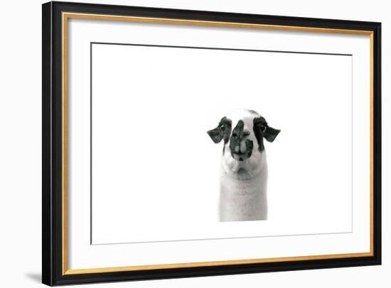 Lovable Llama II-Laura Marshall-Framed Art Print