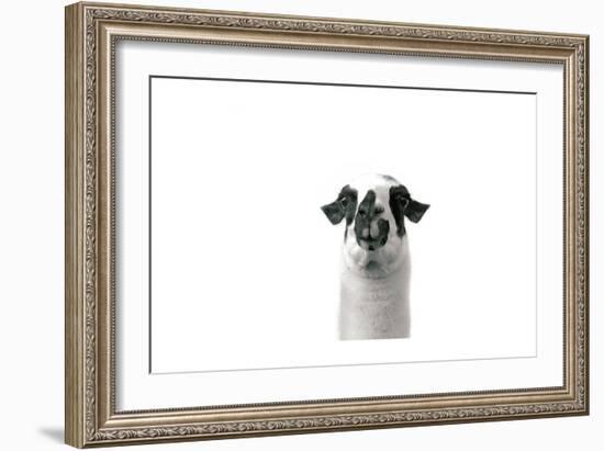 Lovable Llama II-Laura Marshall-Framed Premium Giclee Print