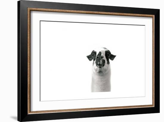 Lovable Llama II-Laura Marshall-Framed Premium Giclee Print