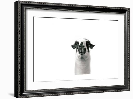 Lovable Llama II-Laura Marshall-Framed Premium Giclee Print